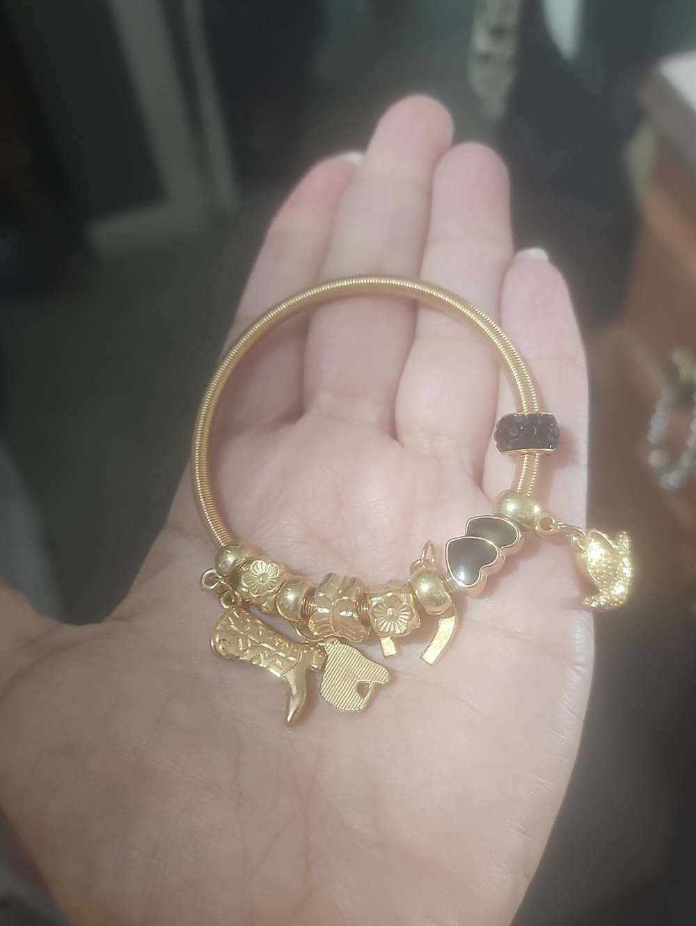 2 Pc Set Paperclip Charm Necklace & Gold Tone Charm Western Bracelet NNT